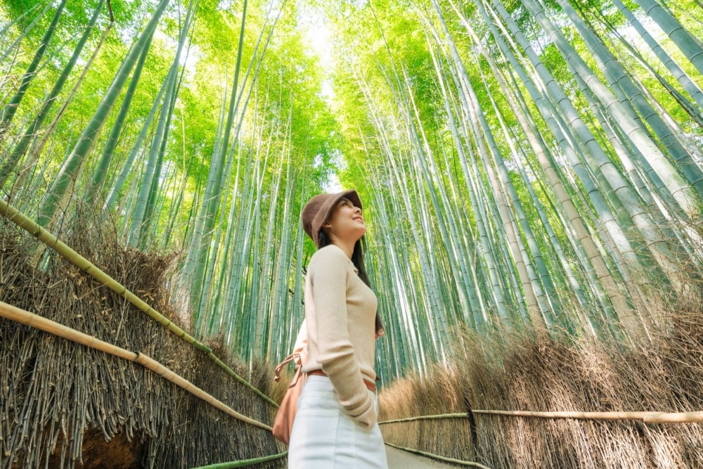 40代女性におすすめの一人旅スポット7選|癒しと安心がそろう国内旅行ガイド