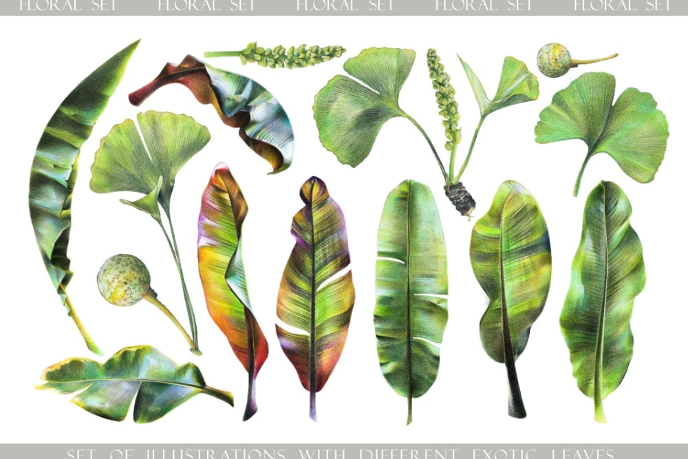 【初心者でも写真みたいに描ける!】リアルな色鉛筆アートの描き方と上達のコツ