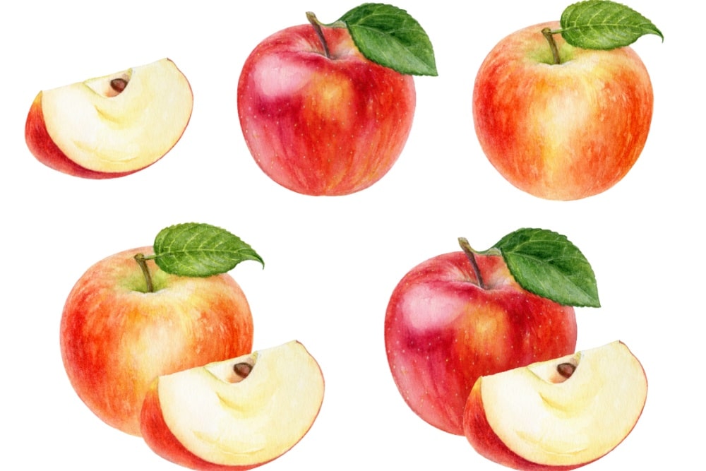 色鉛筆　りんご　アイキャッチ