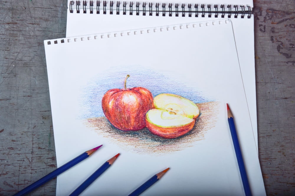 なぜ”ぬり絵っぽく”なる? 色鉛筆でリアルに描く初心者向けコツと失敗しない描き方